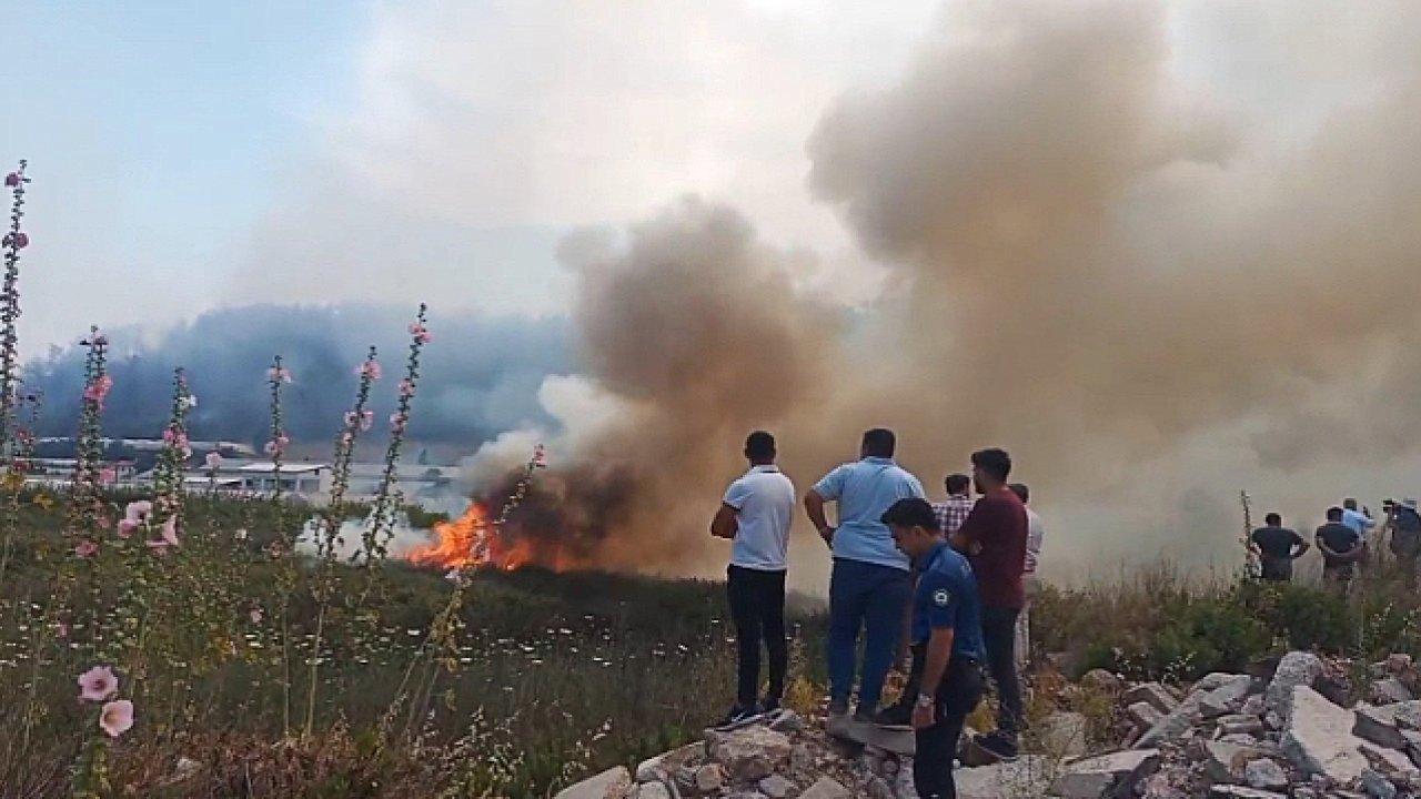 Antalya'daki orman yangını kontrol altına alındı