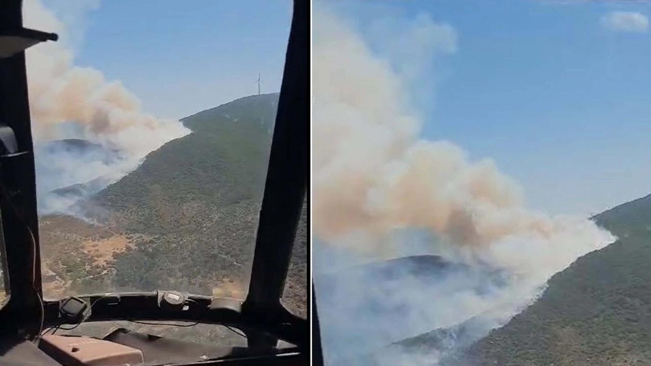 İzmir'de orman yangını: Havadan ve karadan müdahale ediliyor