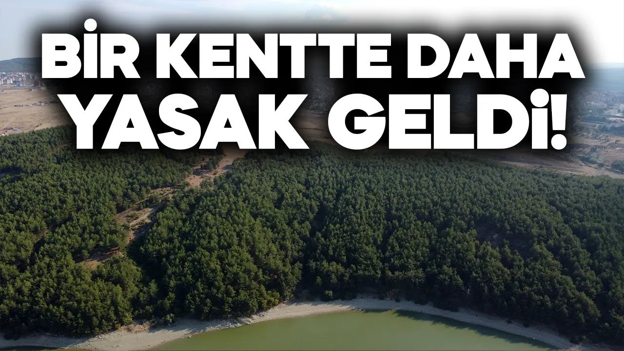 Bir kentte daha ormanlara girişler yasaklandı