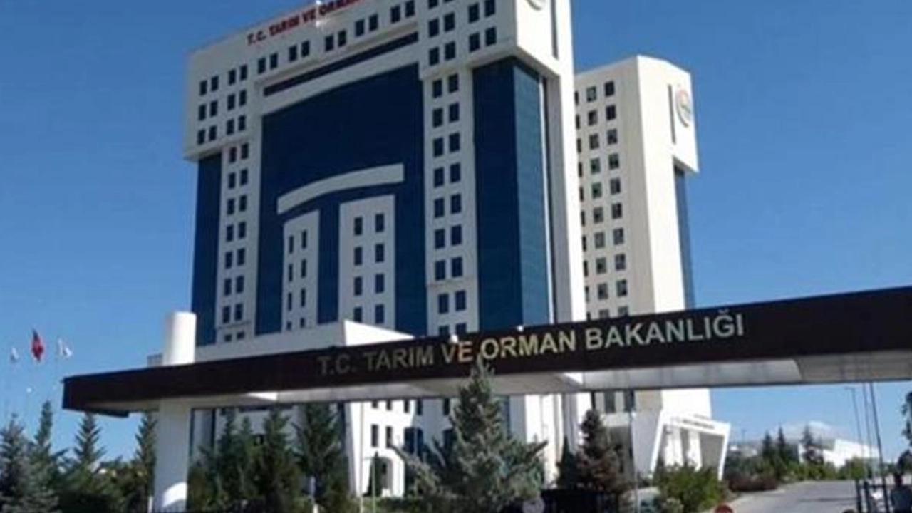 Bakanlık açıkladı: Destek ödemeleri hesaplara aktarıldı