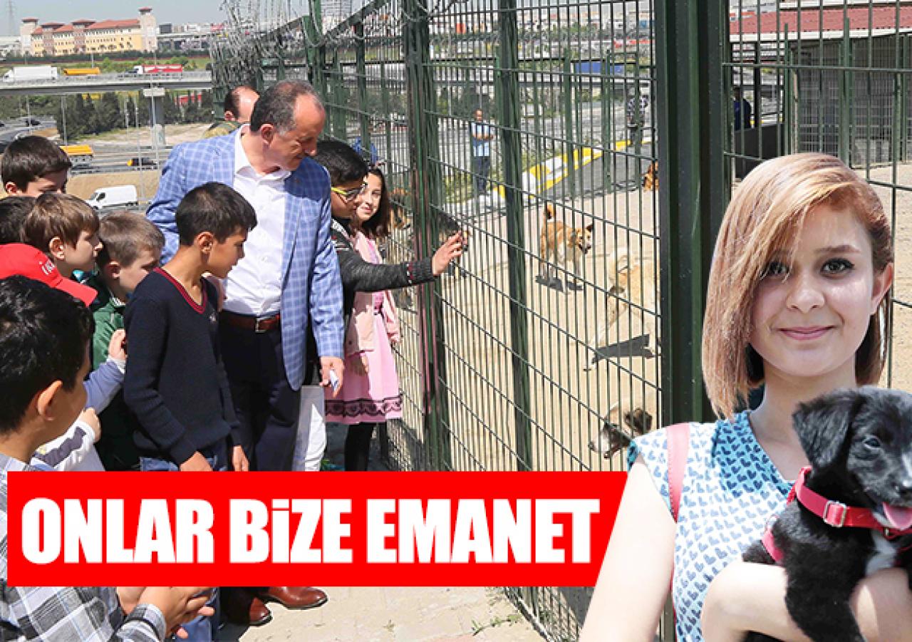 Onlar bize emanet