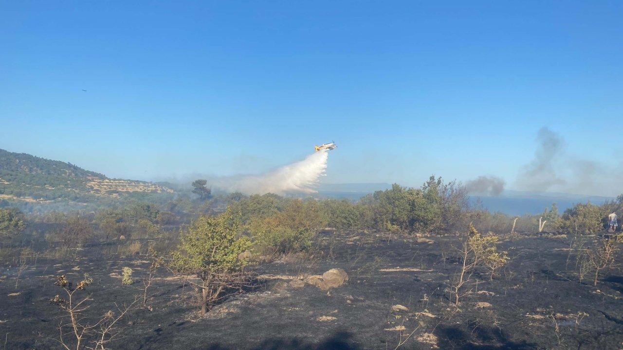 Çanakkale’de orman yangını