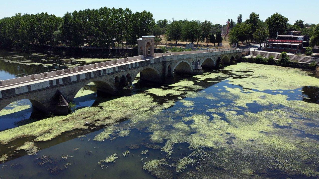 Tunca Nehri'nin yüzeyi yosunla kaplandı, debi yemyeşil oldu