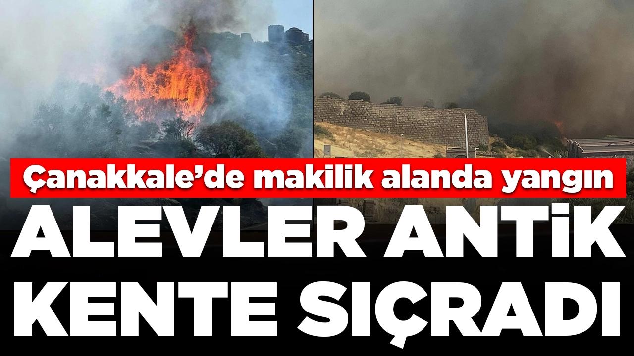 Çanakkale'de makilikte çıkan yangın hızla büyüdü, Assos Antik Kenti'ne ulaştı: Havadan ve karadan müdahale