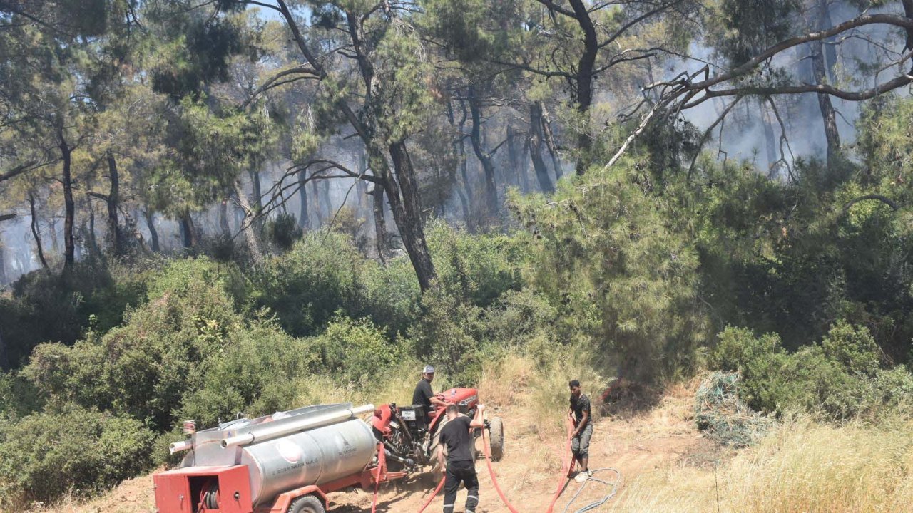 İzmir'deki orman yangını büyüyor: Evler tahliye edildi