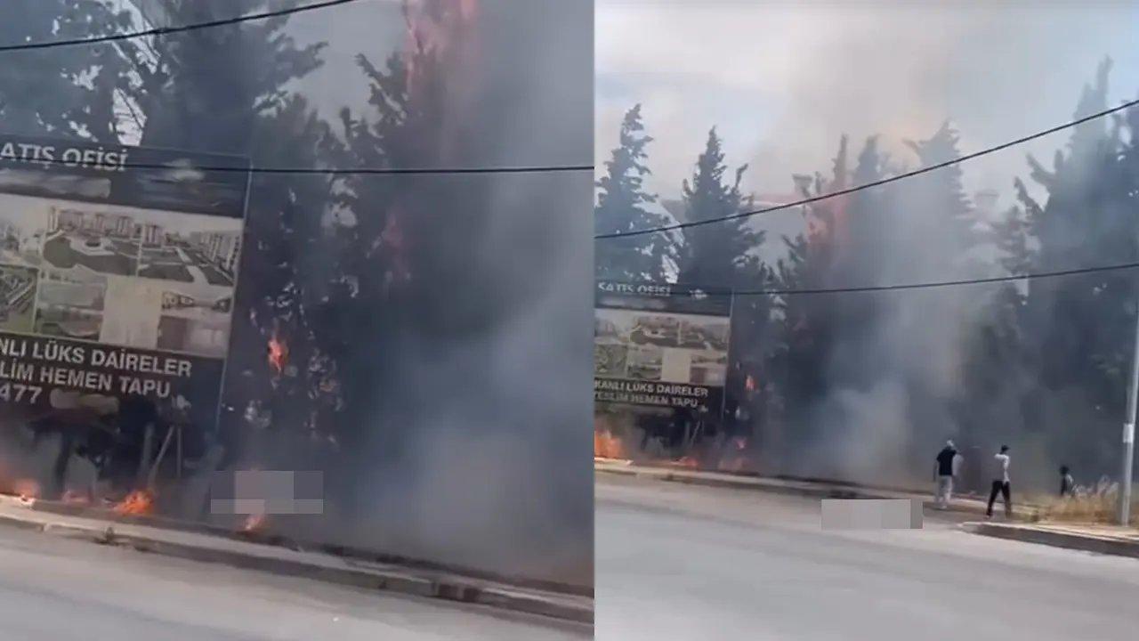 Beylikdüzü'ndeki ağaçlık alanda yangın çıktı, alevler hızla büyüyor!