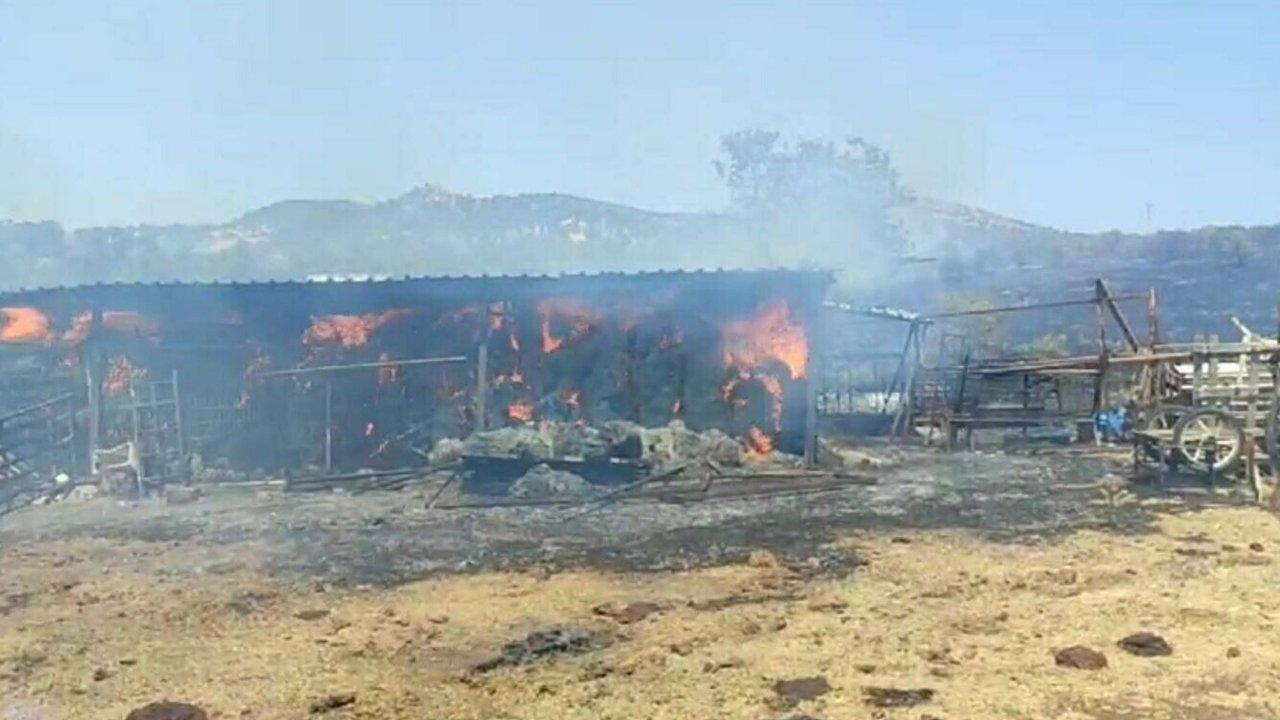 Çanakkale'de tarım arazisinde yangın: Rüzgarın etkisiyle geniş bir alana yayıldı