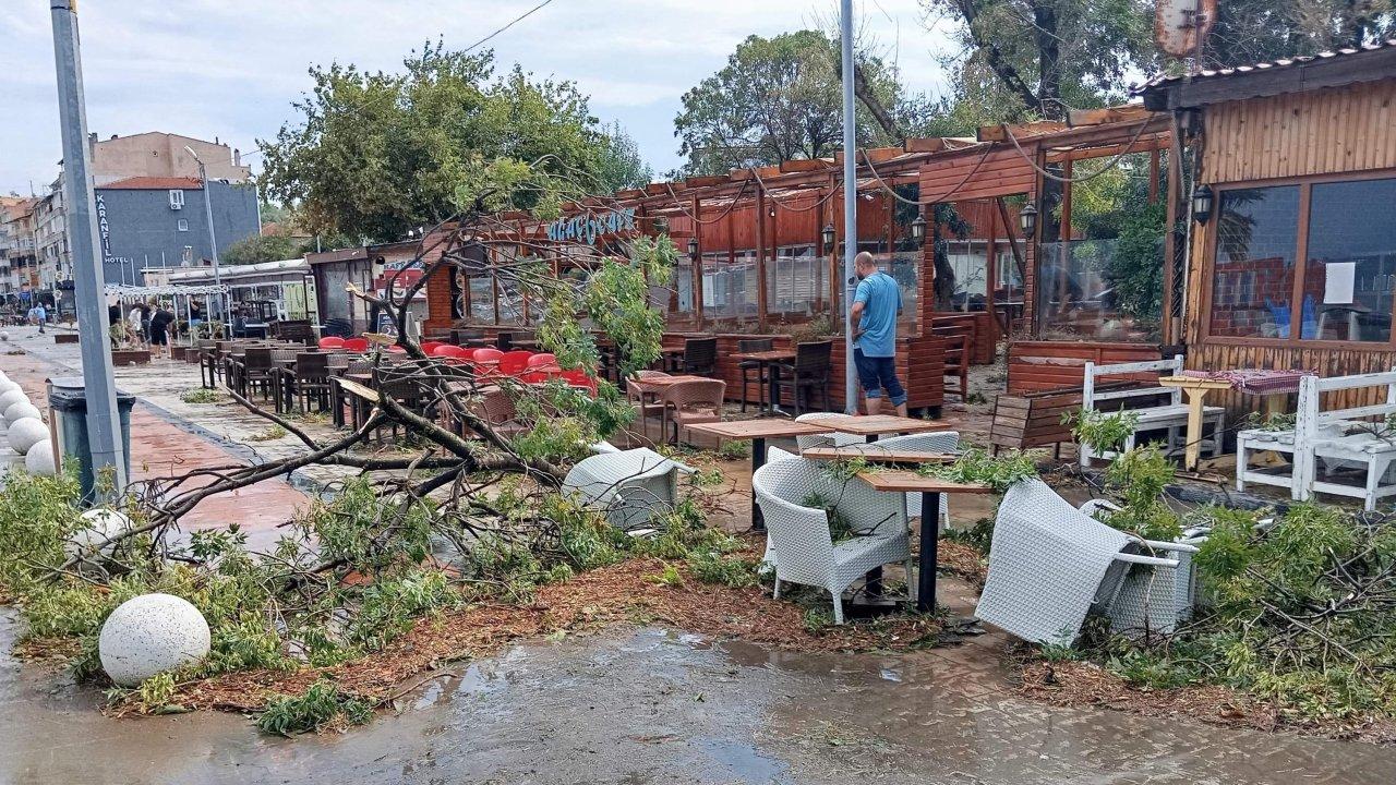 Marmaraereğlisi'nde etkili olan sağanak ve rüzgar ağaçları devirdi