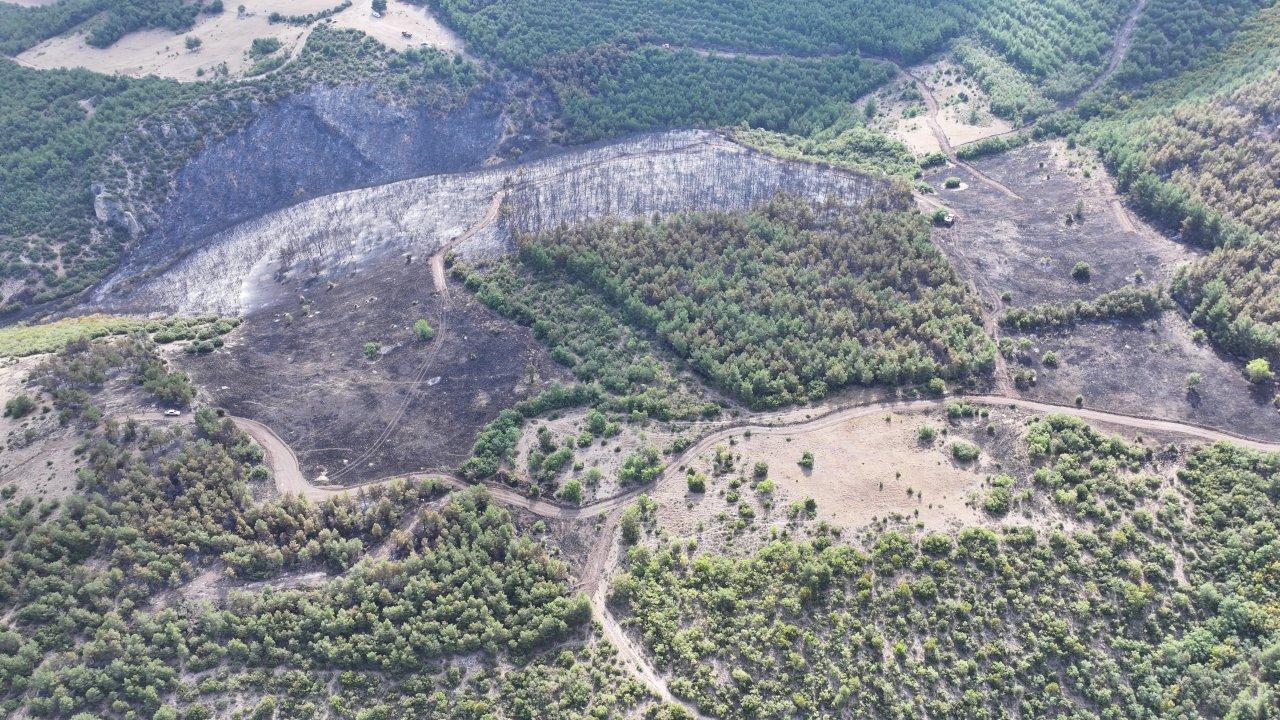 Tokat'taki orman yangınında 45 hektarlık alan küle döndü