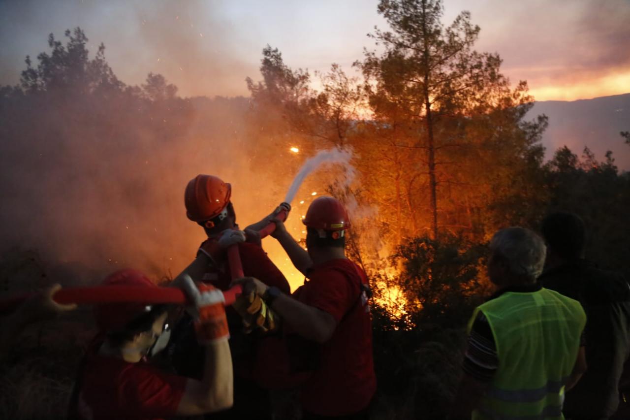 Muğla Büyükşehir Belediye Başkanı yangın bölgesinde