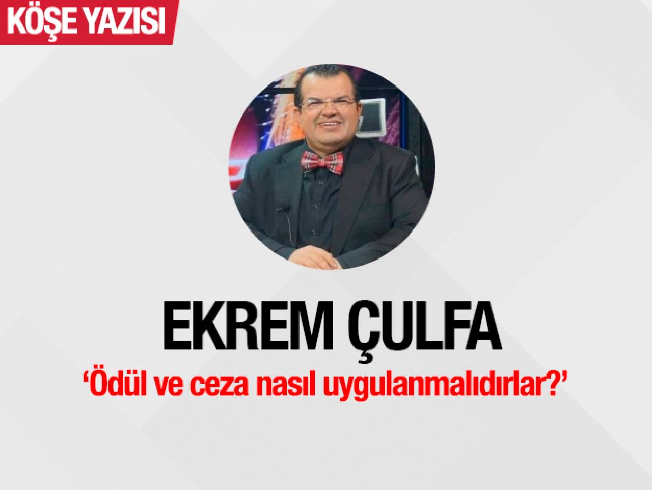 Ödül ve ceza nasıl uygulanmalıdırlar?