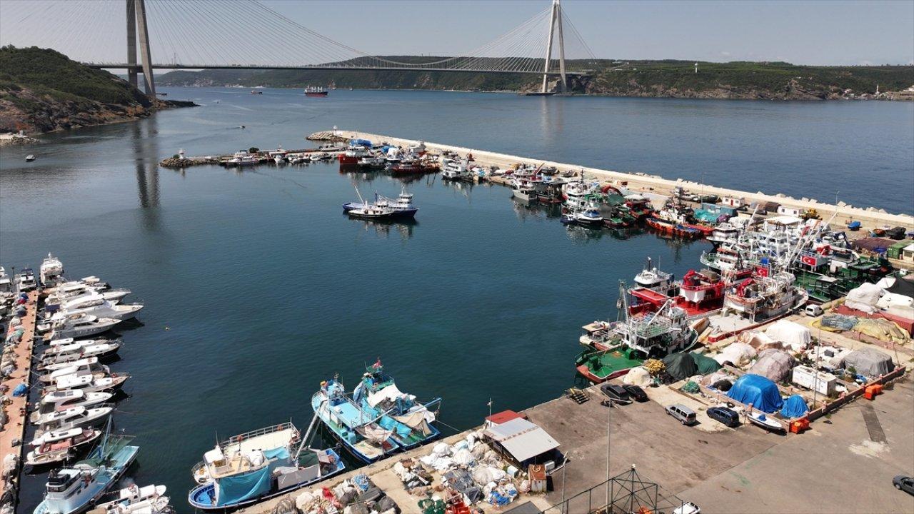 İstanbul'da yeni sezon palamut bolluğu yaşanacak