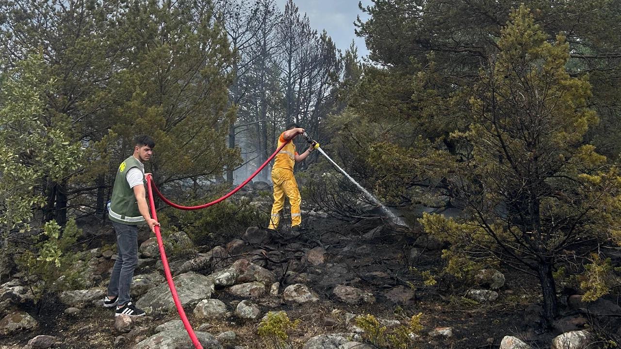 Bolu'da orman yangını: 3 saatte kontrol altına alındı