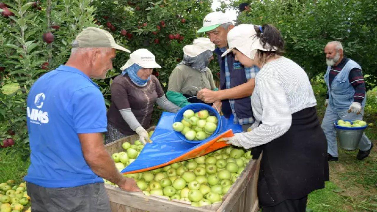 Elmada kalıntı şüphesiyle 47 üreticiye ceza kesildi