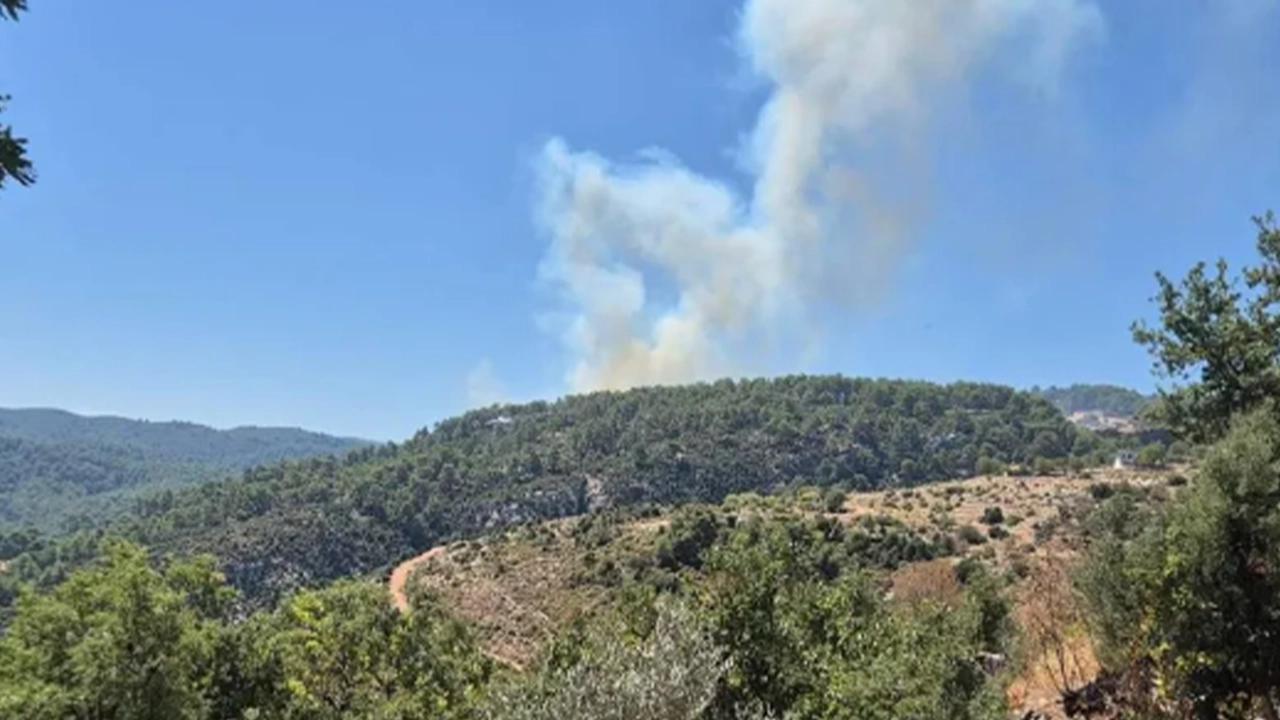 Kaş'ta orman yangını: Alevlere müdahale ediliyor