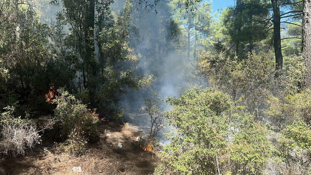 Muğla'da orman yangını: Havadan ve karadan müdahaleyle söndürüldü