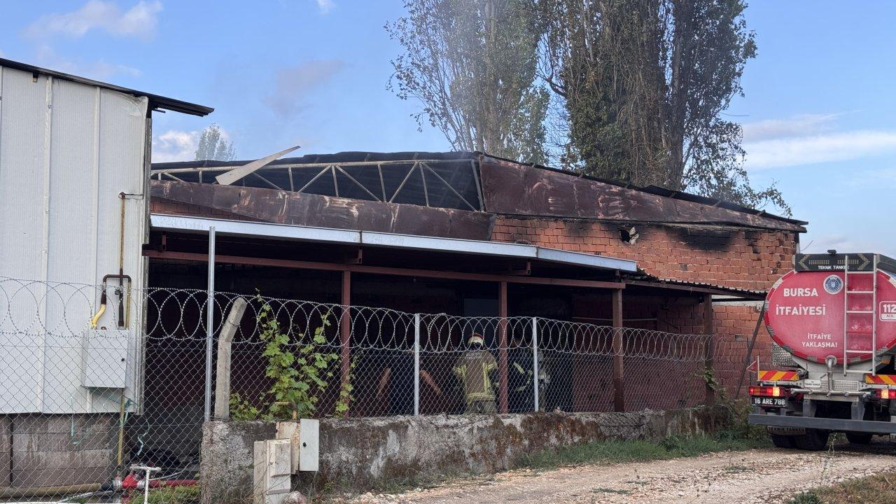 Bursa'da geri dönüşüm tesisinde yangın paniği!