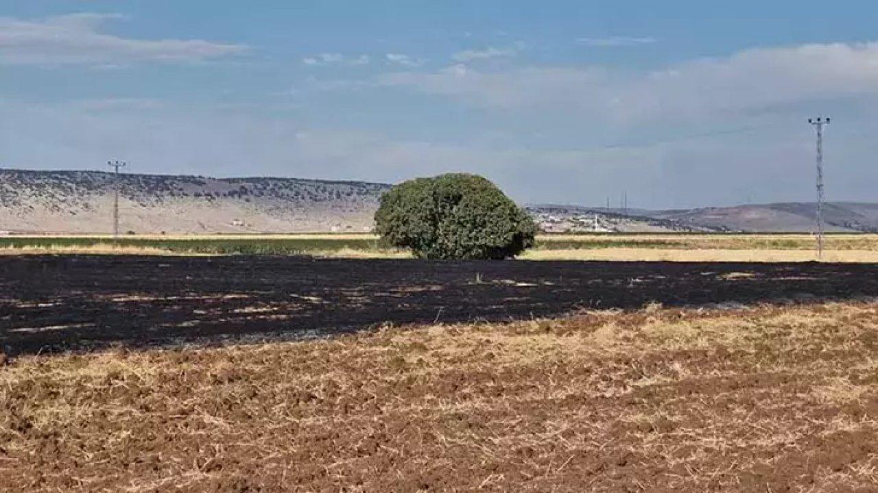 Çıkan anız yangınında 70 dönümlük arazi küle döndü