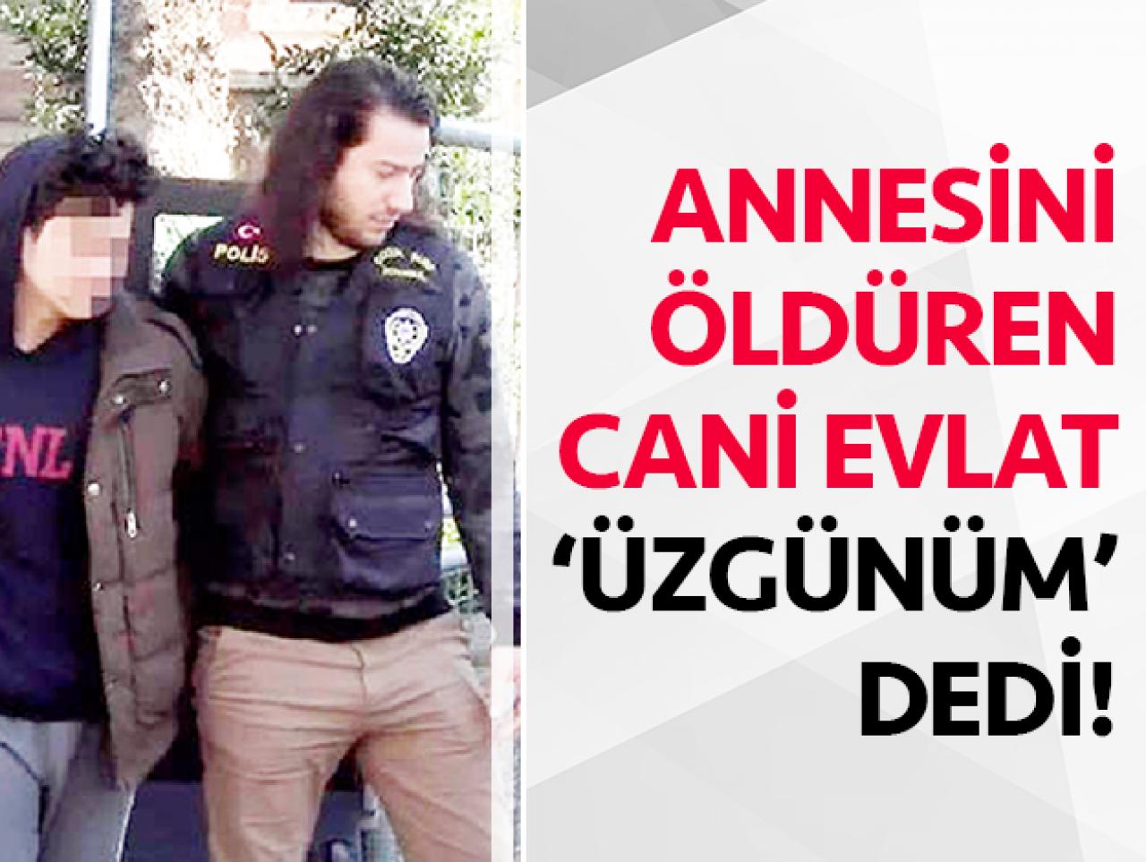 Annesini öldürdü üzgünüm dedi