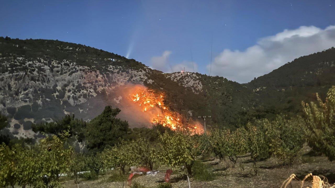 İzmir'de çıkan orman yangını kontrol altına alındı