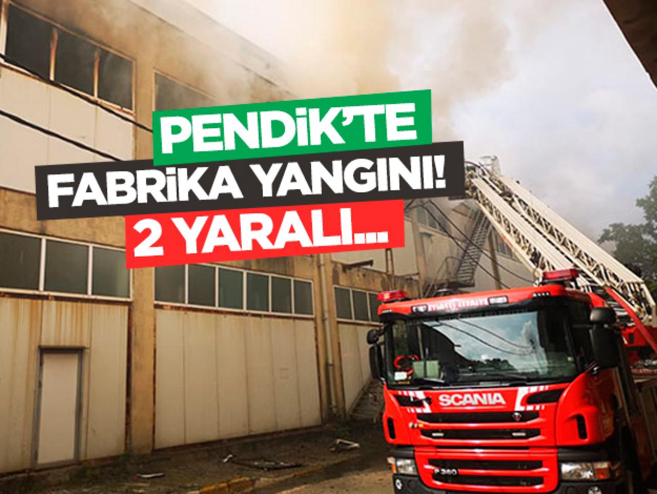 Pendik'te fabrika yangını