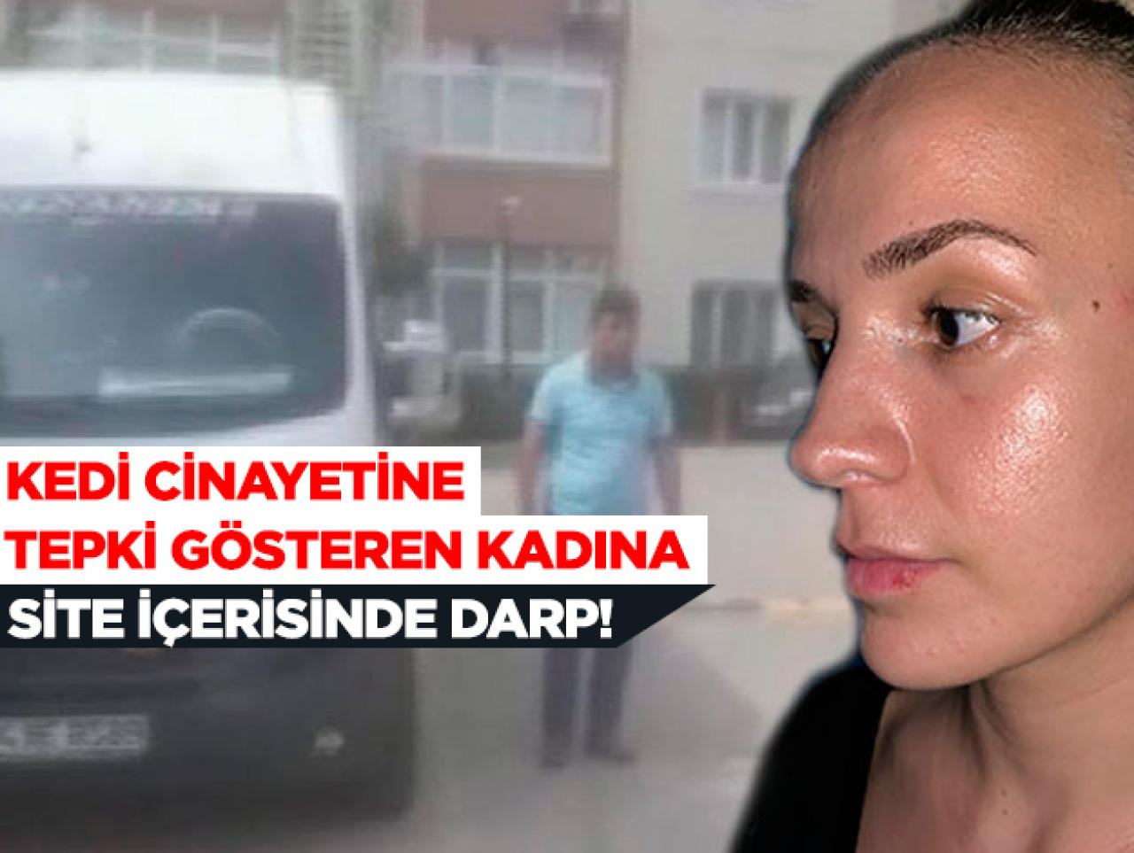 Kedi cinayetine tepki gösteren kadına darp