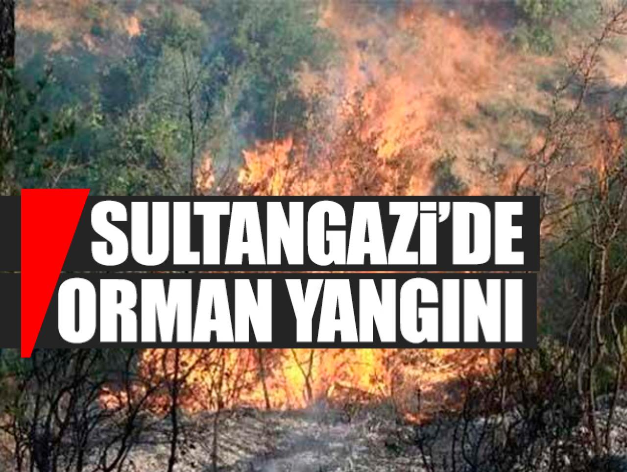 İstanbul Sultangazi'de orman yangını! Vatandaşlar müdahale etti