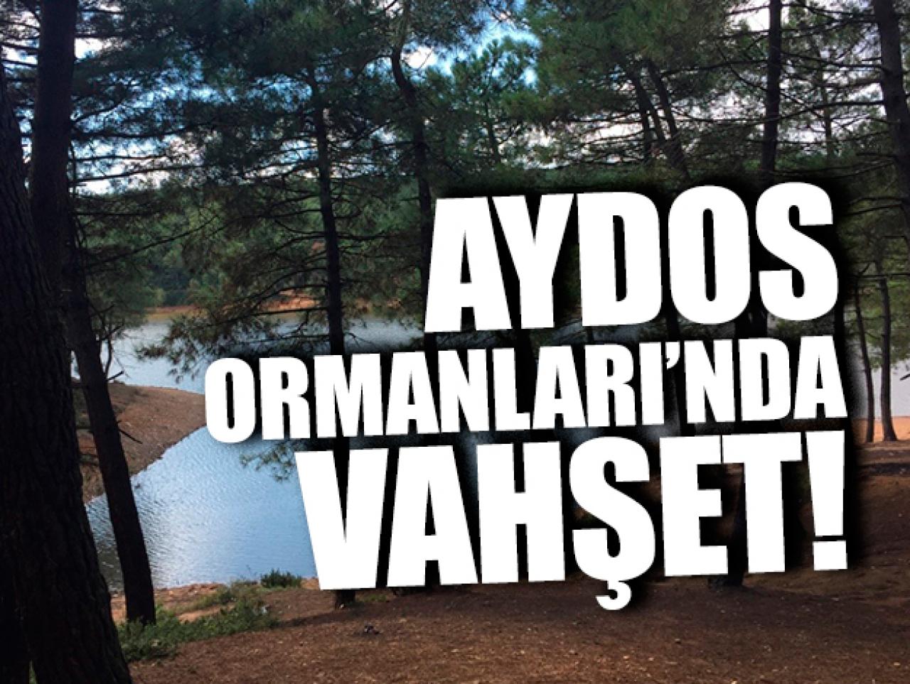 Aydos ormanlarında vahşet