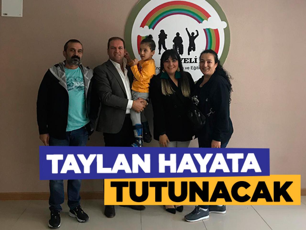 Taylan hayata tutunacak