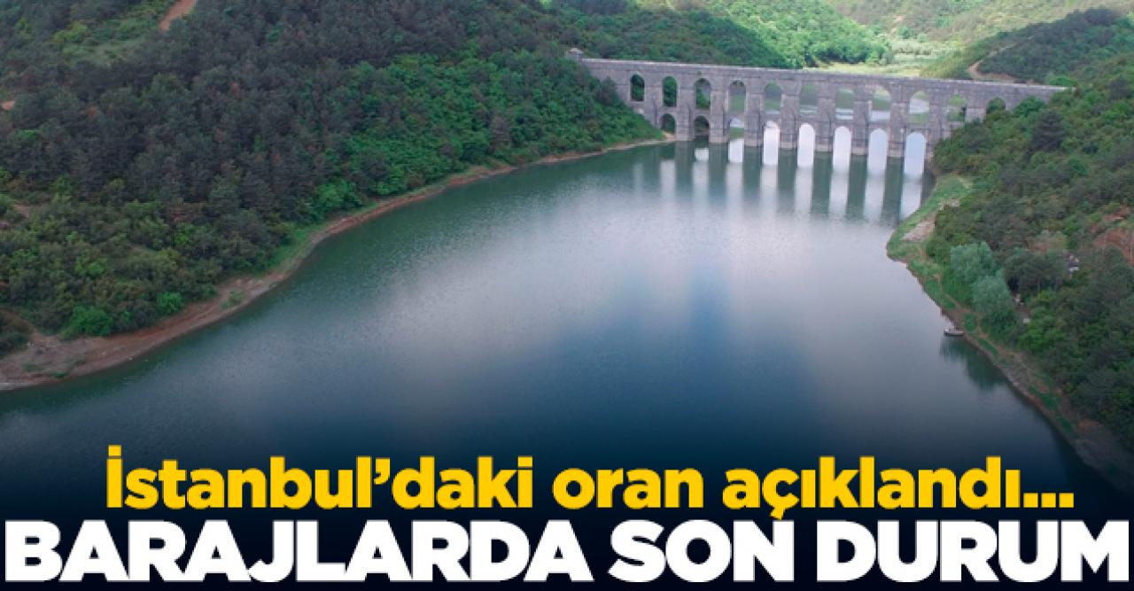 İstanbul barajları yüzde 39 doluluk oranına yükseldi