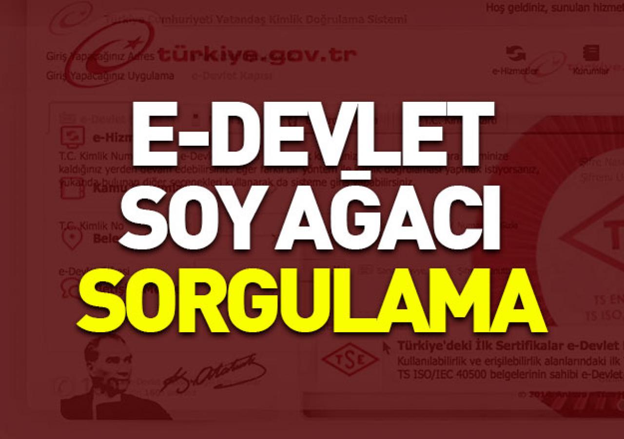 e-Devlet soy ağacı sorgulama sayfası burada! Üst soy bilgisi nasıl sorgulanır