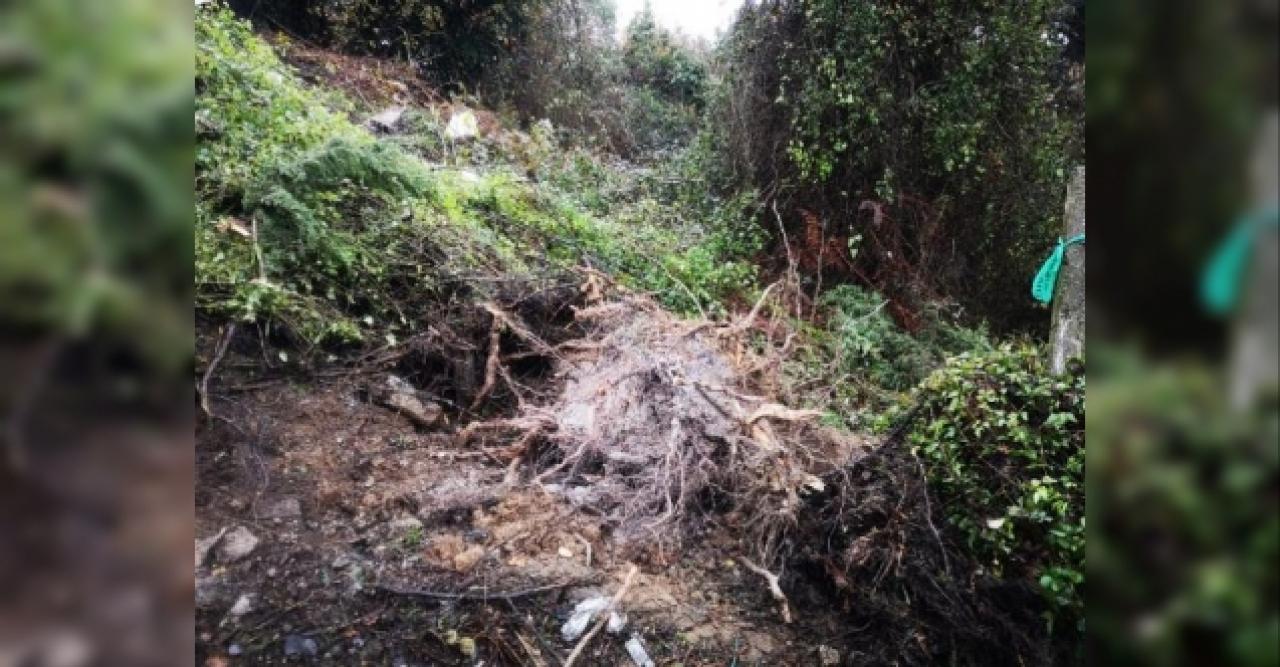 Beykoz'da toprak kaydı