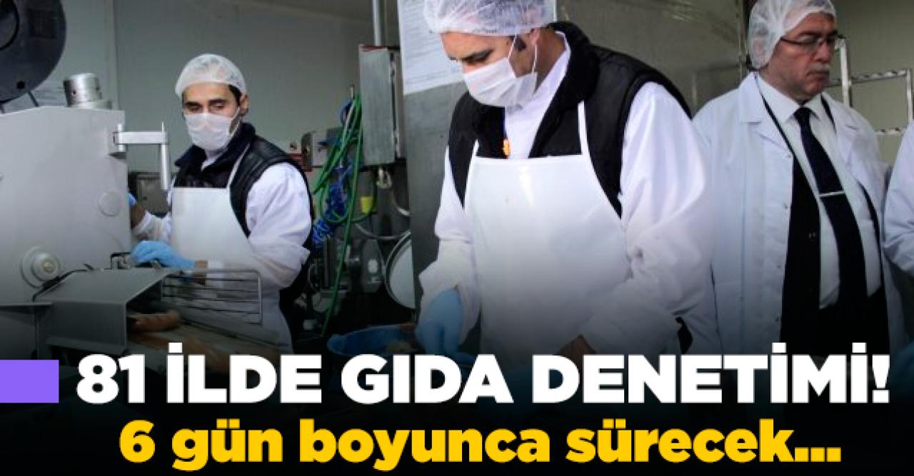 81 ilde gıda denetimleri başladı!