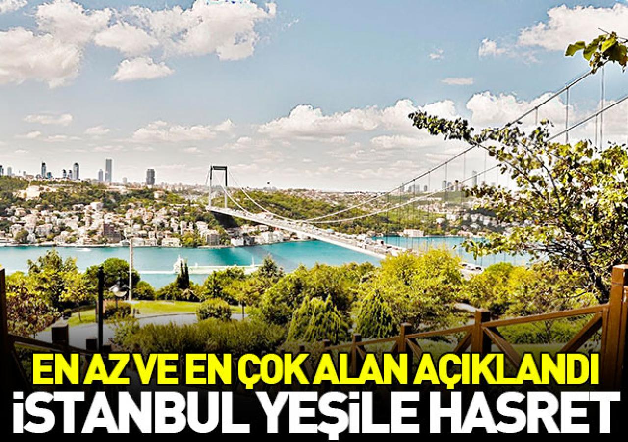 İstanbul yeşile hasret