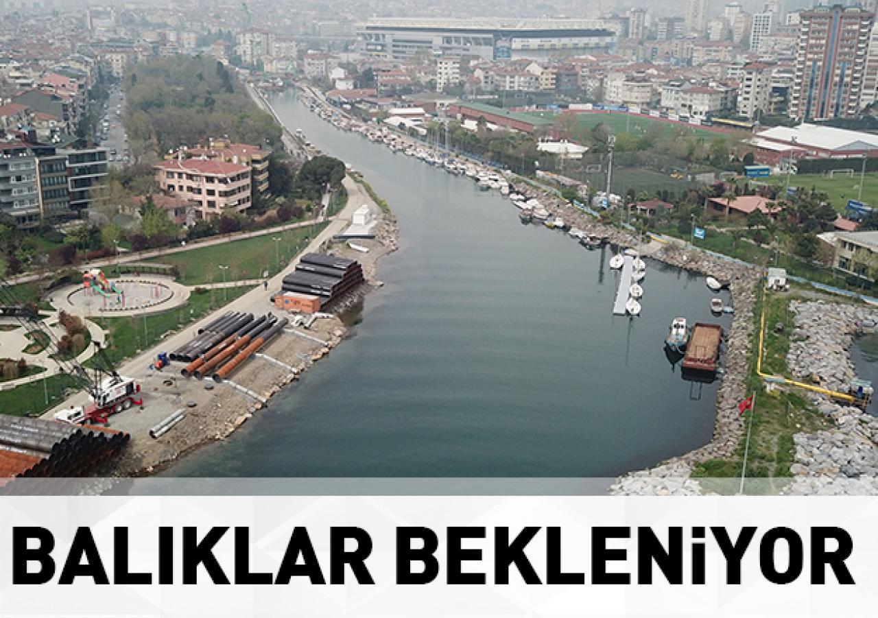 Kurbağalıdere’ye balıklar bekleniyor