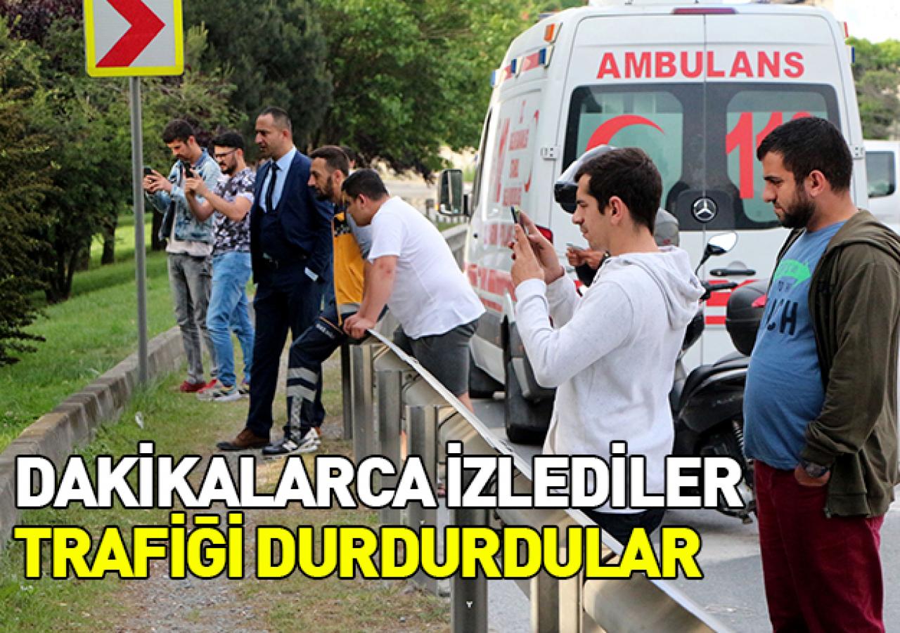 Ağaçta asılı kişiyi izleyen vatandaşlar trafiği kilitledi