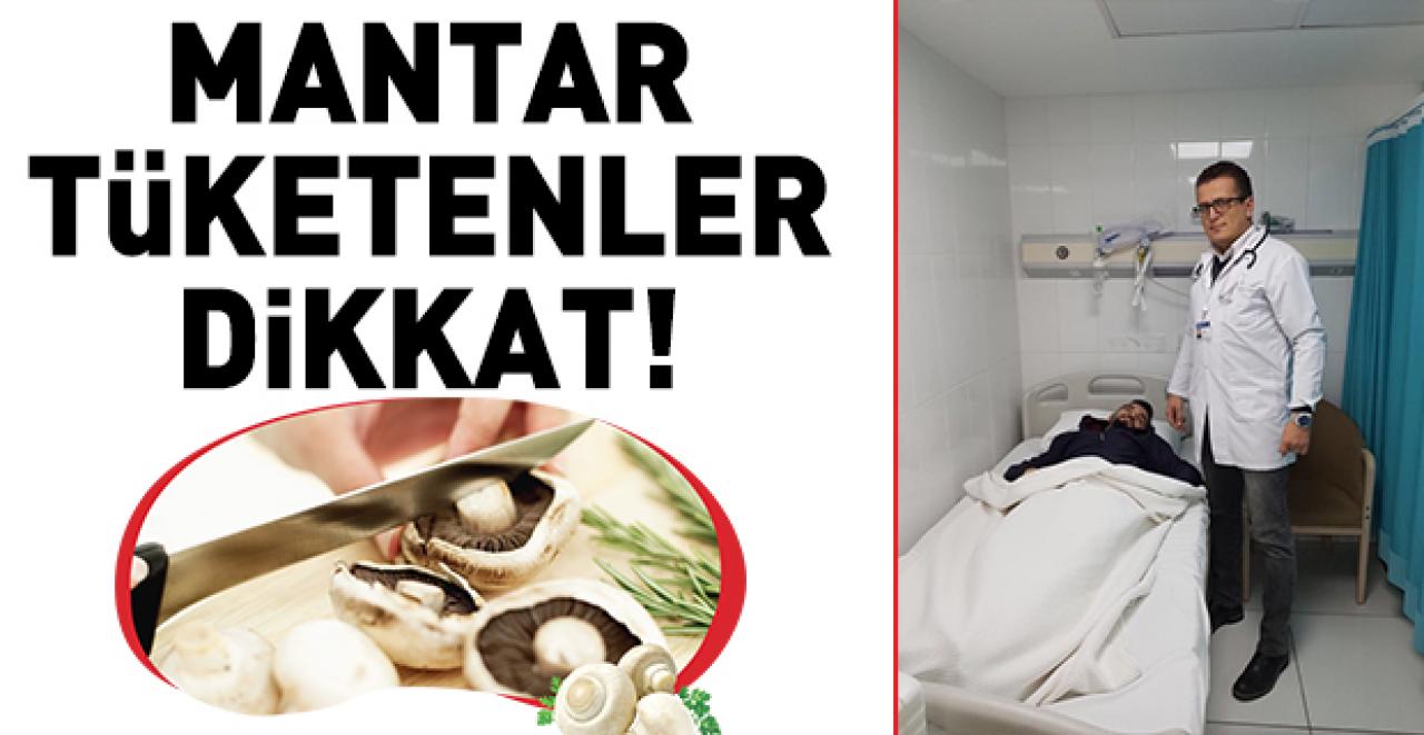 Mantar tüketimine dikkat!