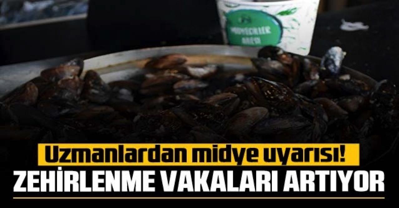 Uzmanlar uyardı: Midye zehirlenmesi vakaları artıyor!