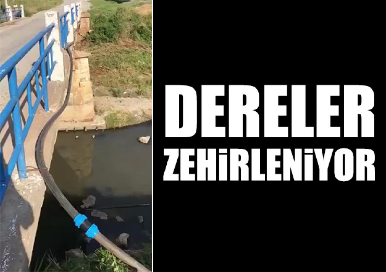 Silivri'de dereler zehirleniyor