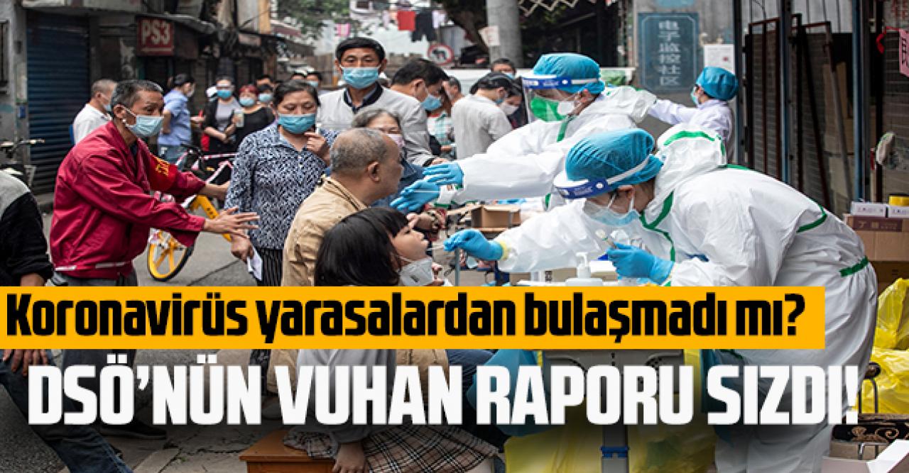 DSÖ ekibinin Vuhan raporu sızdı: Virüs yarasadan bulaşmadı mı?