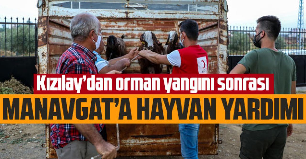 Kızılay'dan Manavgat'a küçükbaş hayvan yardımı