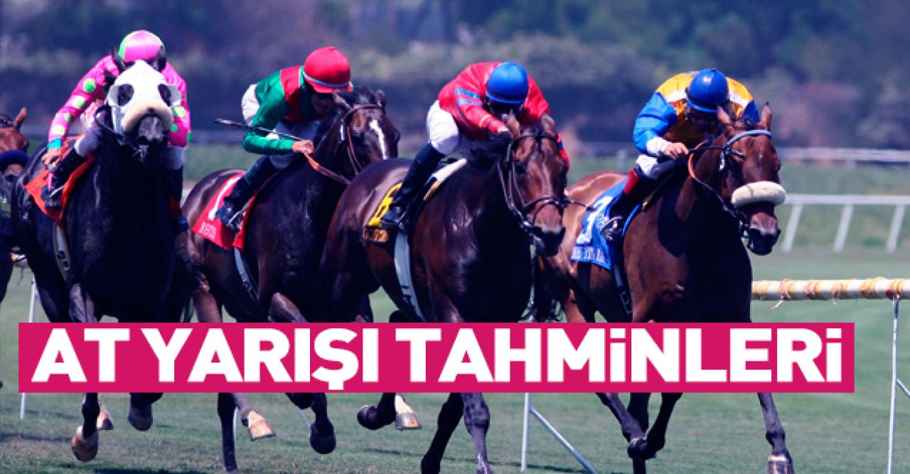 6 Ekim 2021 Çarşamba İstanbul ve Elazığ At Yarışı Tahminleri (izle) - TAY TV ve TJK TV