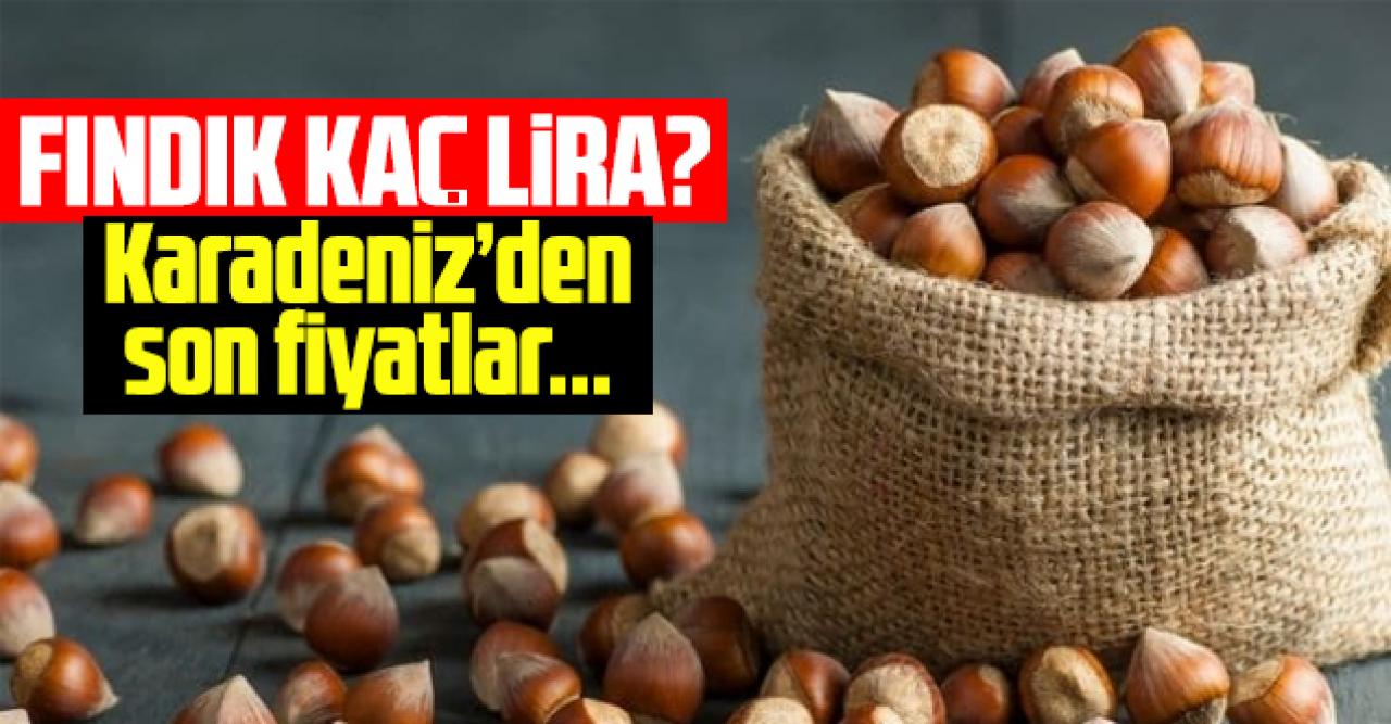 6 Ekim 2021 Çarşamba fındık fiyatları | Fındık kaç lira? Güncel fındık fiyatı