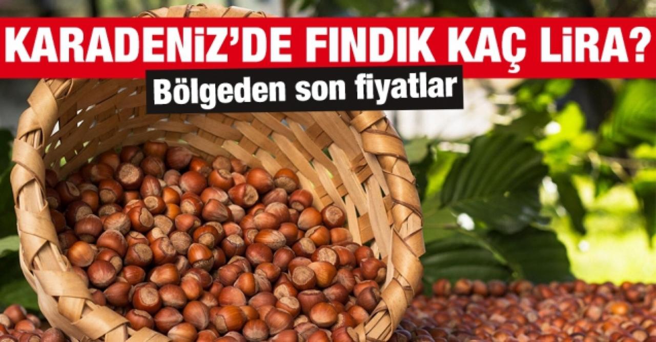 16 Ekim 2021 Cumartesi fındık fiyatları | Fındık kaç lira? Güncel fındık fiyatı