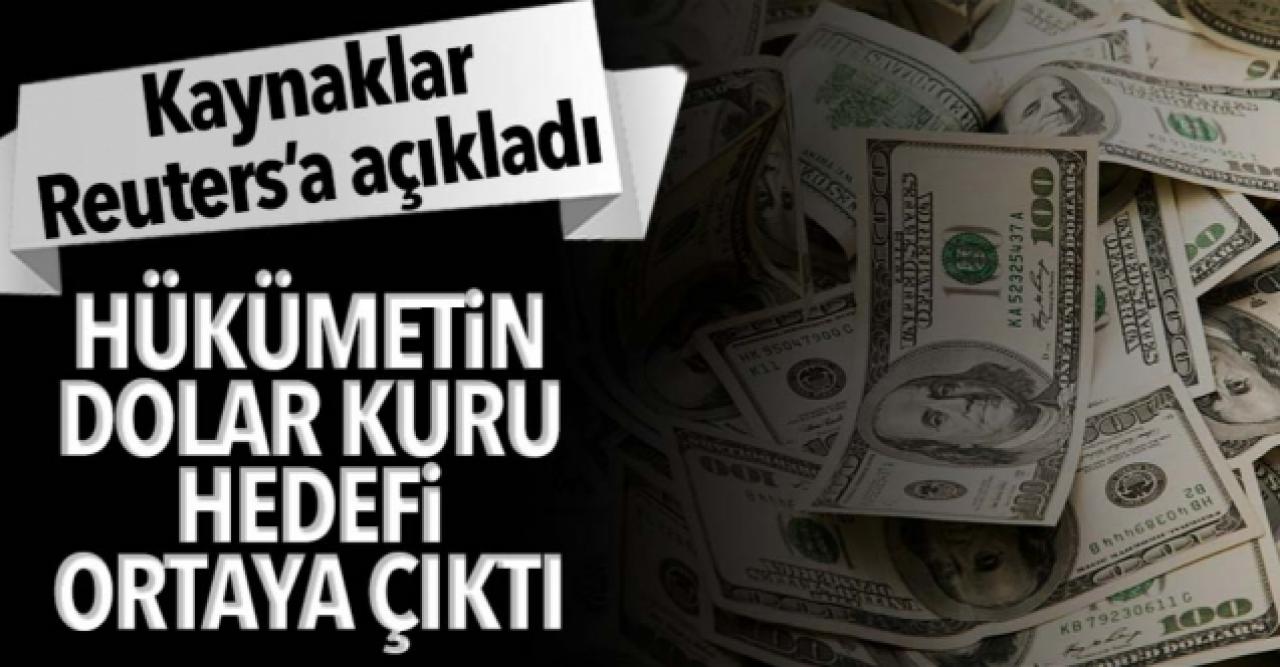 Reuters: Hükümet dolar/TL’nin 9 seviyesine düşmesini bekliyor