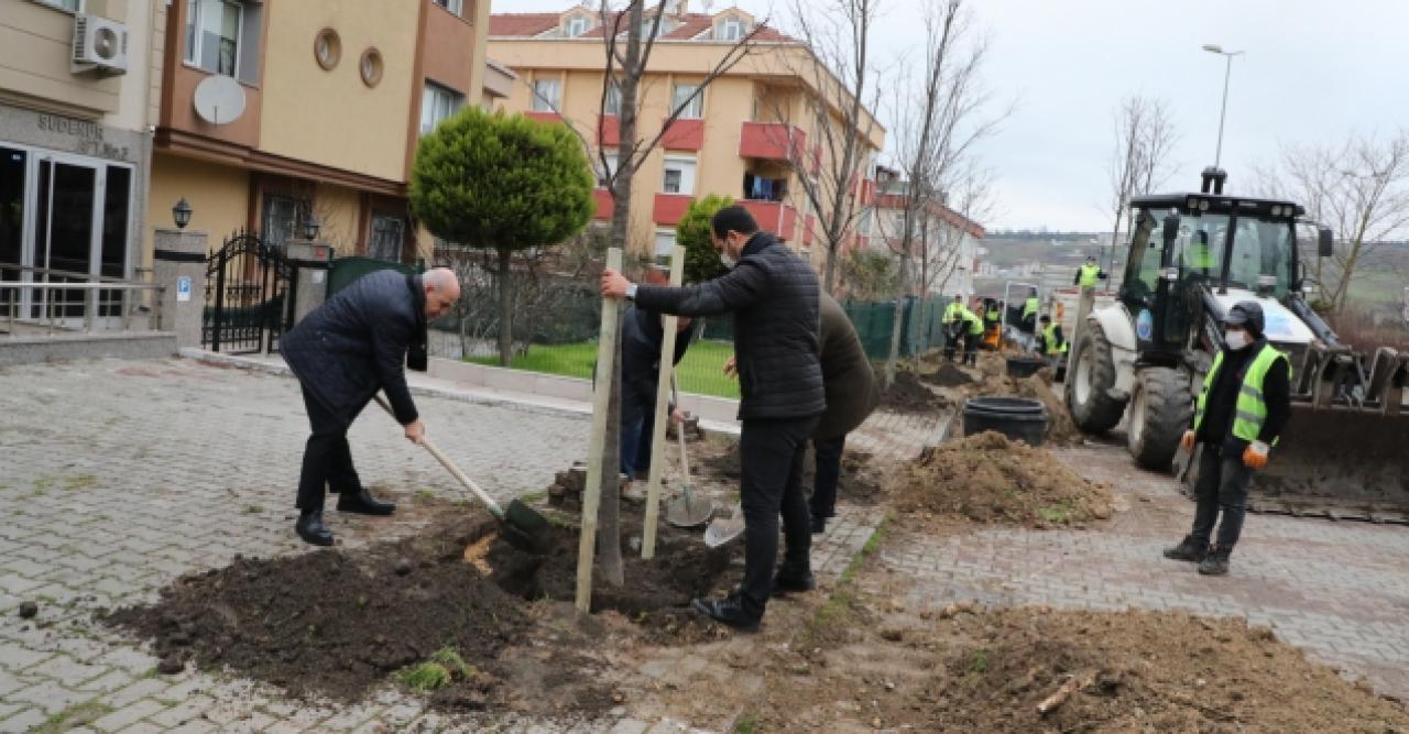 Büyükçekmece'den 2022 yılına 22 ağaç