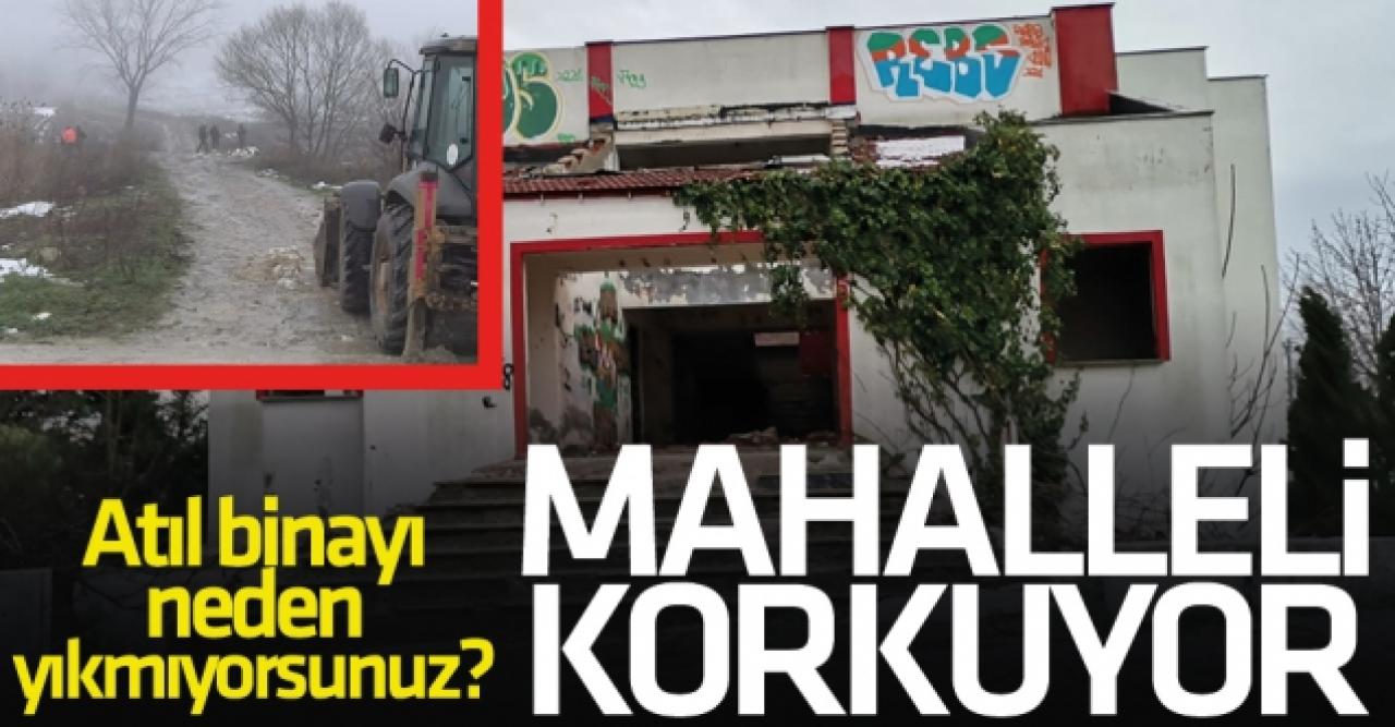 Büyükçekmece'de mahallelinin ödü kopuyor!