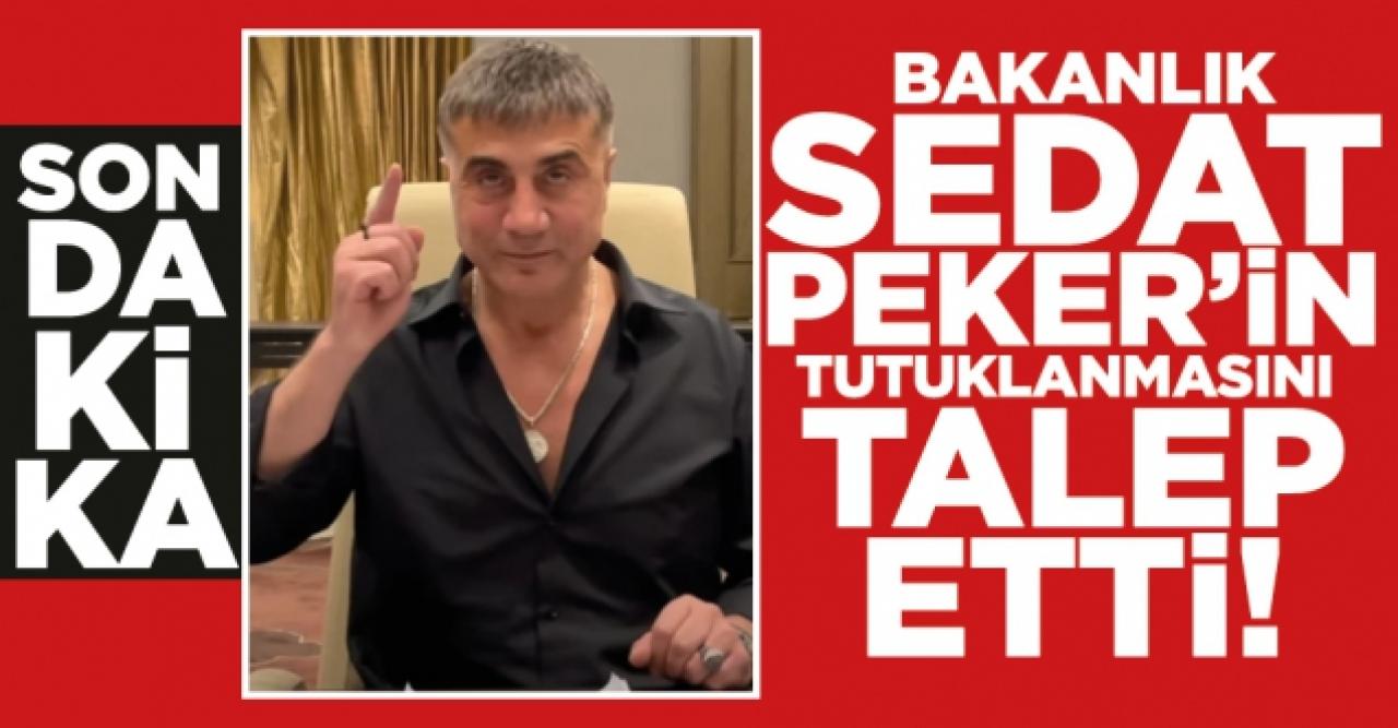 Adalet Bakanlığı, BAE'den Sedat Peker'in tutuklanmasını talep etti!