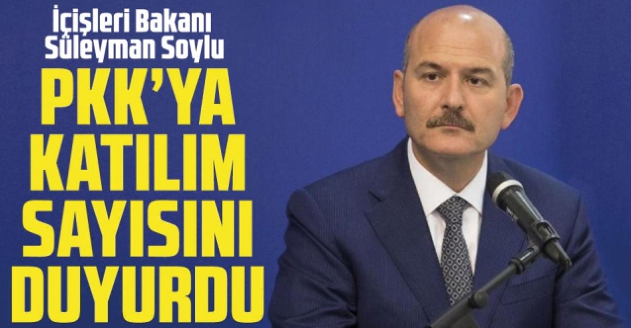 Bakan Süleyman Soylu: PKK'ya geçen yıl katılım sadece 51 kişi