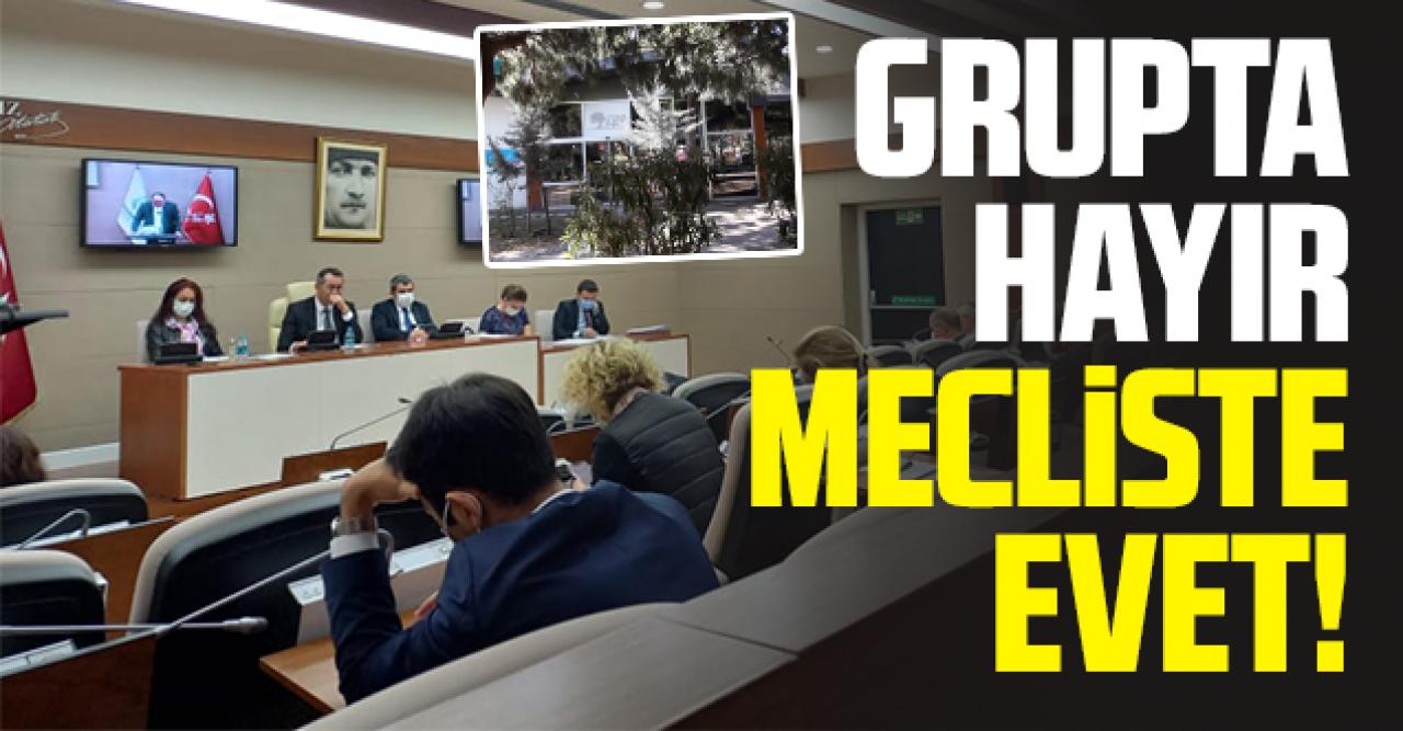 Grupta hayır mecliste evet